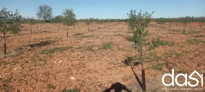 Parcela Rústica de Gran Potencial con Excelente Aptitud Agraria. - Foto 3