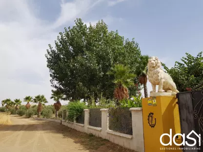 FINCA RECREATIVA Y AGRÍCOLA: Un Paraíso de 9 Hectáreas con Infinitas Posibilidades. - Foto 3