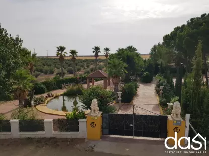FINCA RECREATIVA Y AGRÍCOLA: Un Paraíso de 9 Hectáreas con Infinitas Posibilidades. - Foto 5