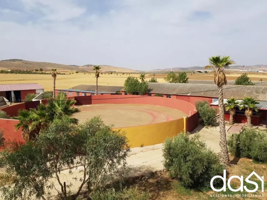 Finca rústica en venta en Santa Cruz de Mudela - Foto 54