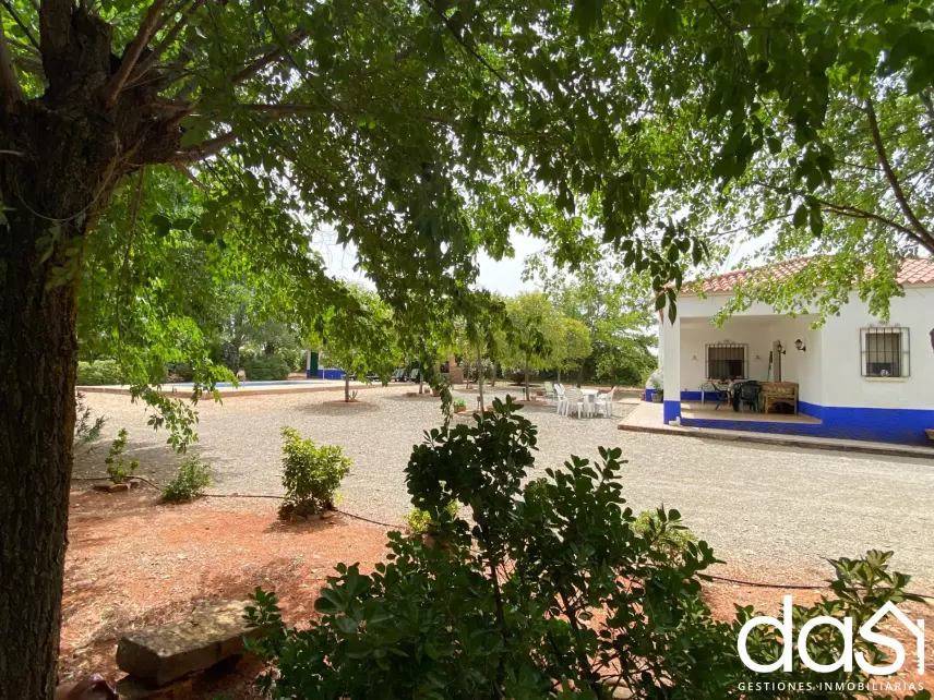 Finca rústica en venta en Torrenueva - Foto 10
