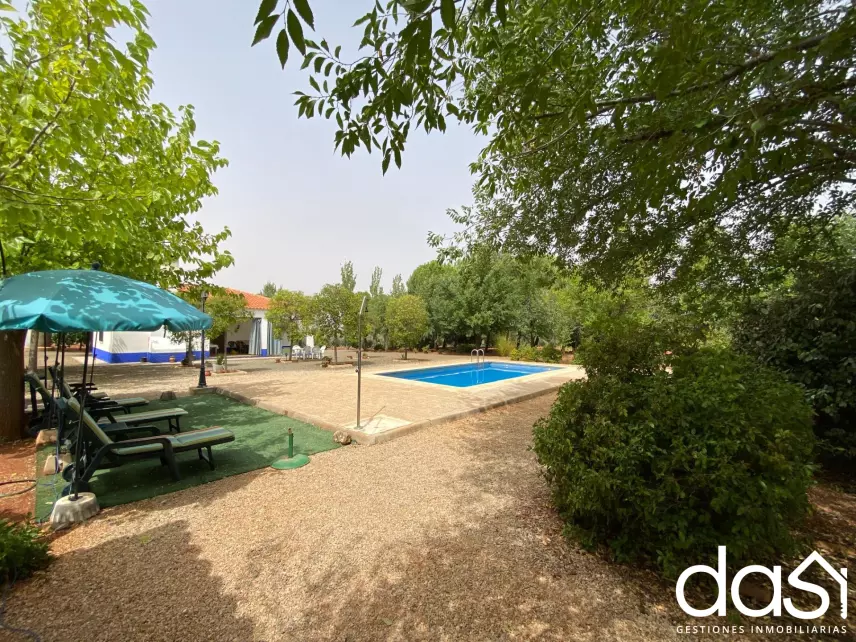 Finca rústica en venta en Torrenueva - Foto 11