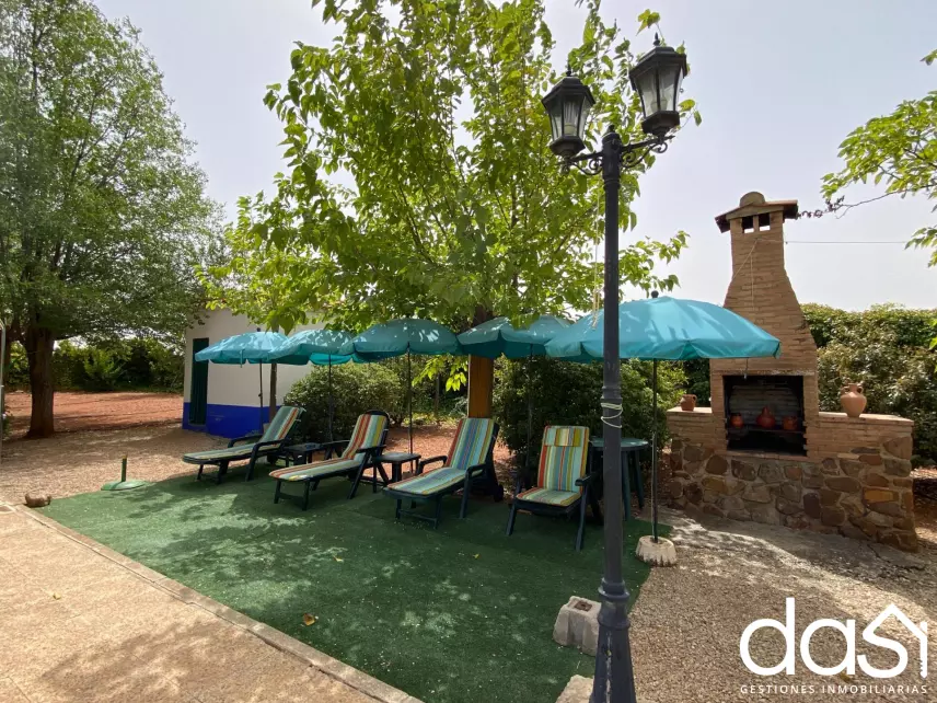 Finca rústica en venta en Torrenueva - Foto 15