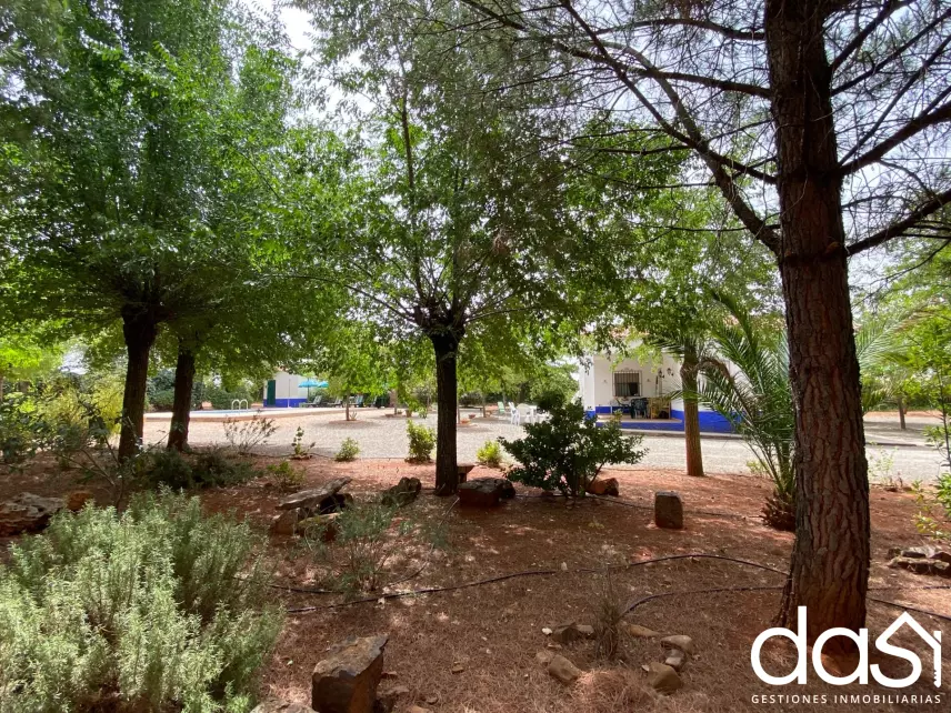 Finca rústica en venta en Torrenueva - Foto 18