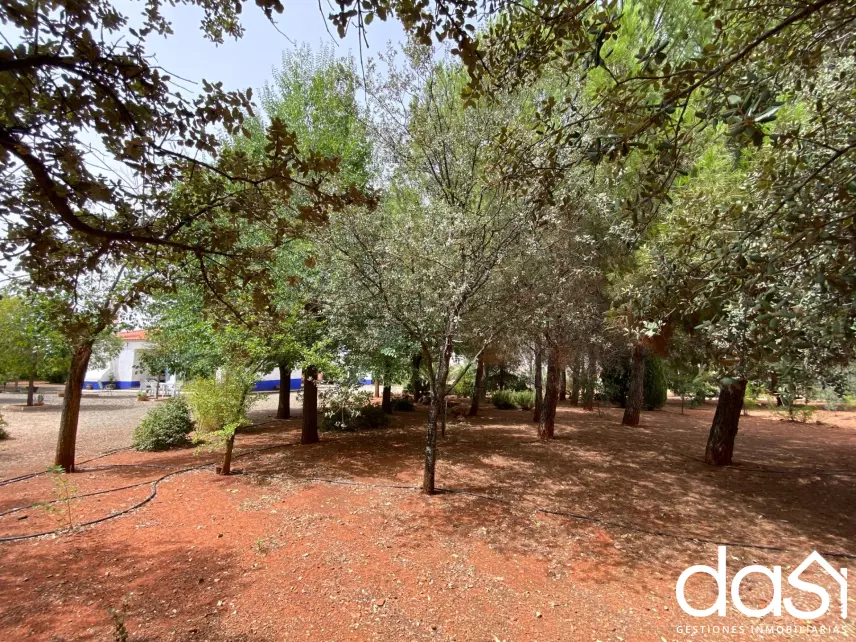Finca rústica en venta en Torrenueva - Foto 19