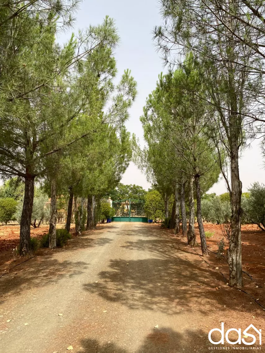 Finca rústica en venta en Torrenueva - Foto 20