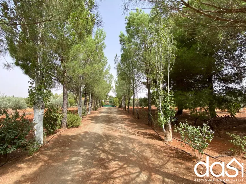 Finca rústica en venta en Torrenueva - Foto 21