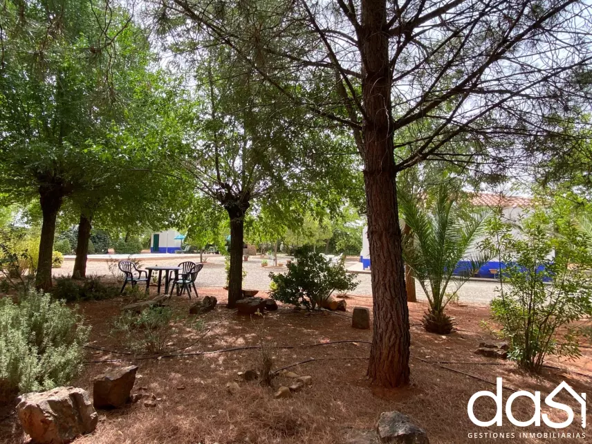 Finca rústica en venta en Torrenueva - Foto 22