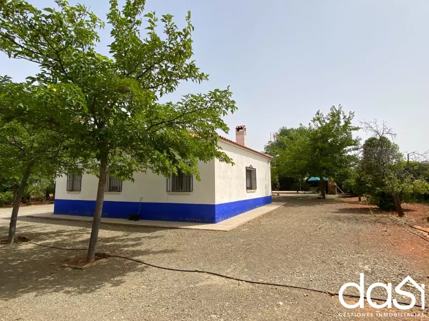 Finca rústica en venta en Torrenueva - Foto 3