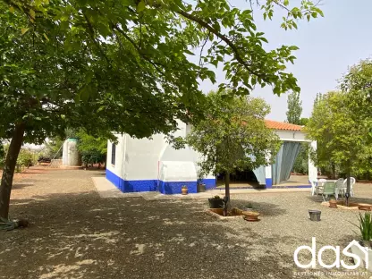 Finca rústica de recreo en venta - Foto 4
