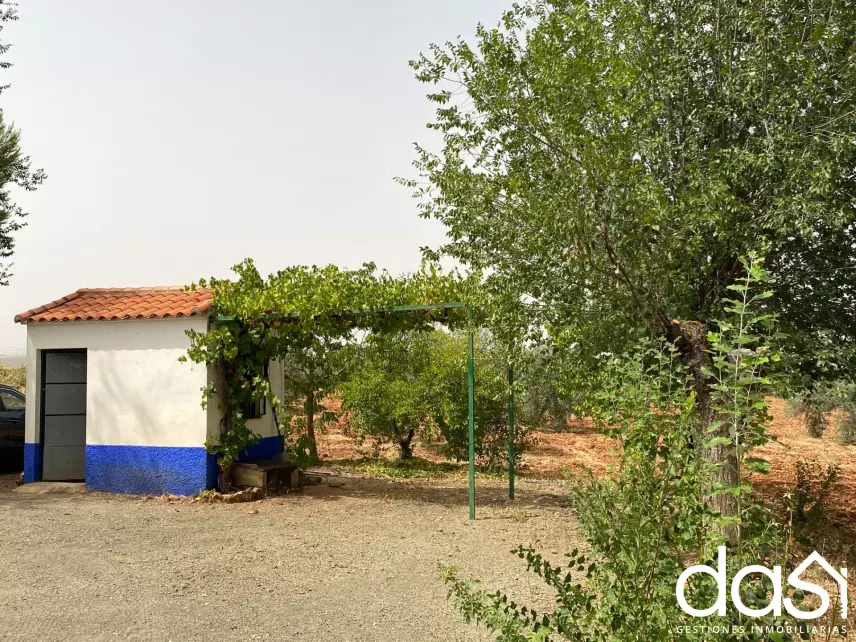 Finca rústica en venta en Torrenueva - Foto 7