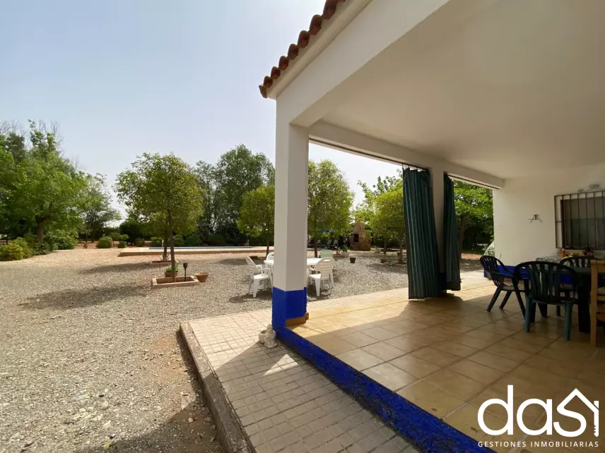 Finca rústica en venta en Torrenueva - Foto 9