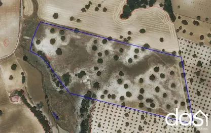 finca rústica en venta: excelente ubicación y gran potencial - Foto 1