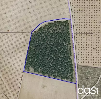Terreno rústico de 20.575 m² en zona Camino de Membrilla - Foto 1