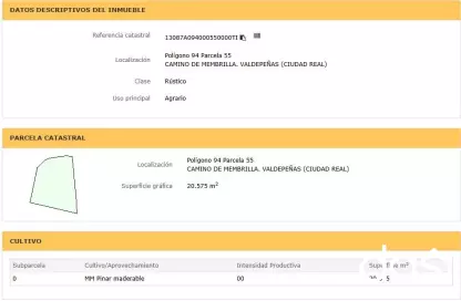 Terreno rústico de 20.575 m² en zona Camino de Membrilla - Foto 3