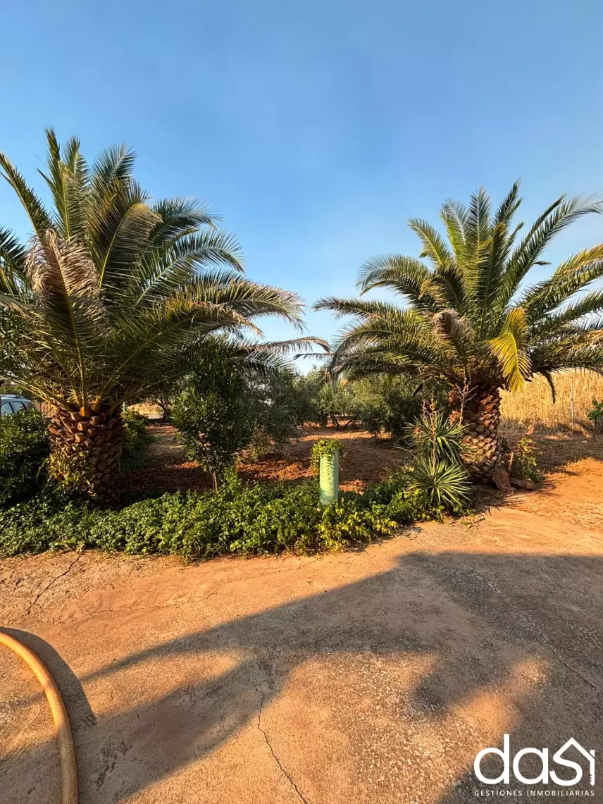 Casa de campo en venta en Valdepeñas - Foto 35