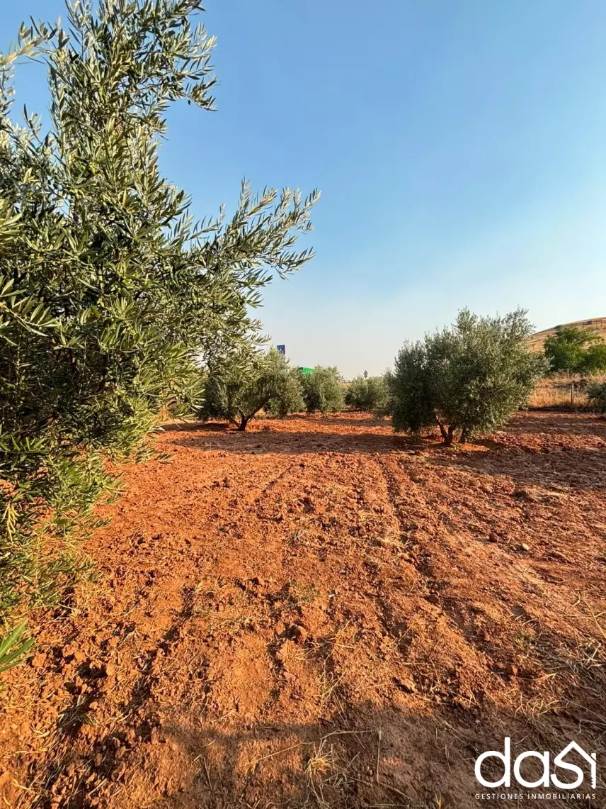 Casa de campo en venta en Valdepeñas - Foto 40