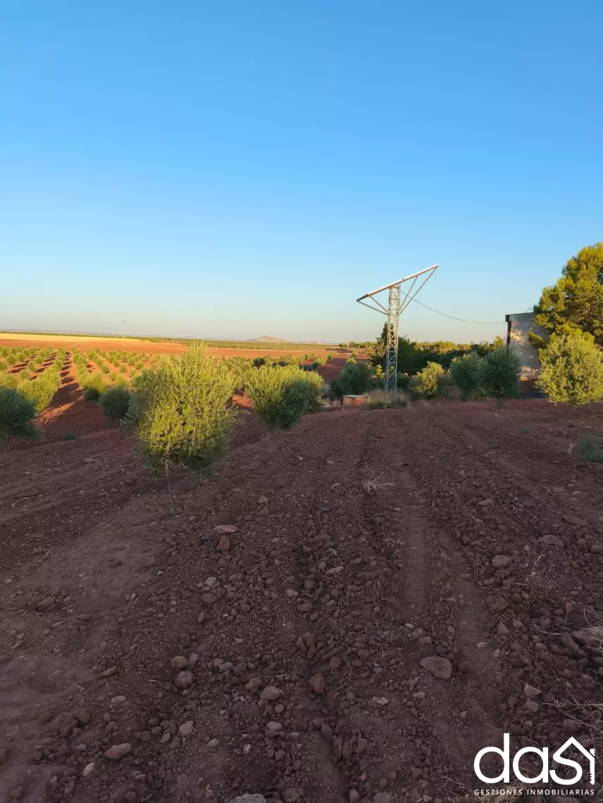 Terreno Rústico en venta en Villanueva de los Infantes - Foto 7