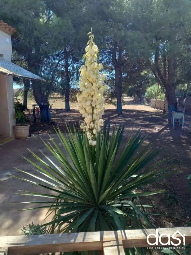 Chalet en venta en Almagro - Foto 12
