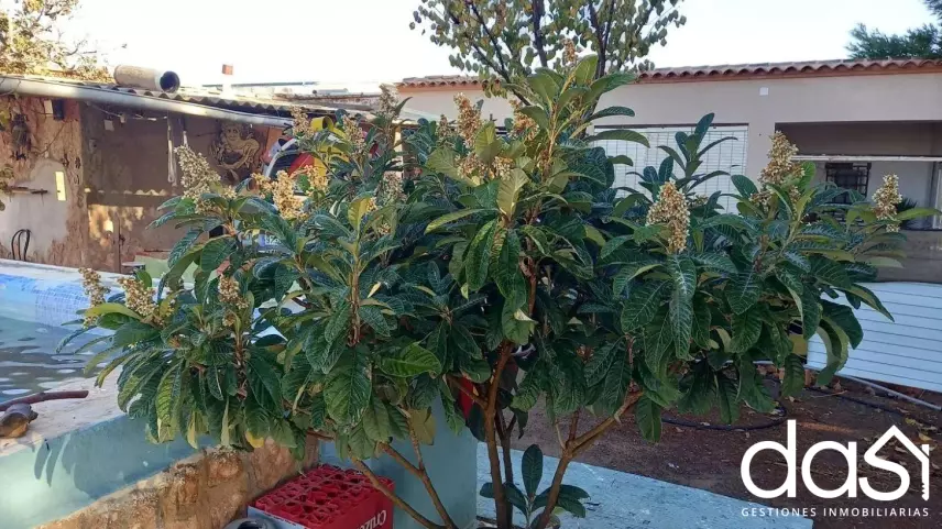 Chalet en venta en Almagro - Foto 9