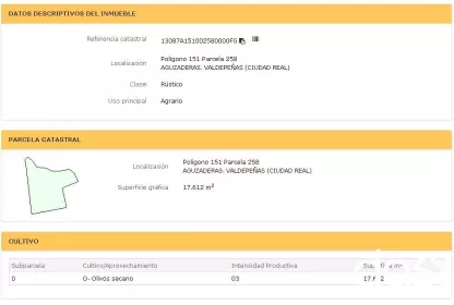 Parcela rústica de olivar en Valdepeñas